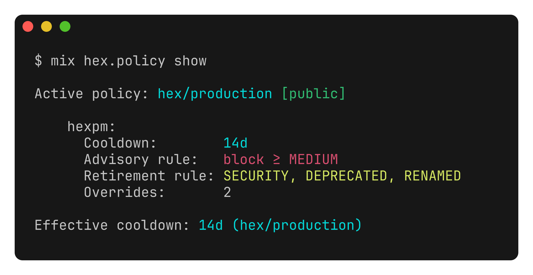 mix hex.policy show output